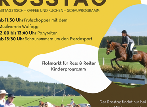 Erhalt und Pflege unserer Reithalle - Ihre Hilfe zählt