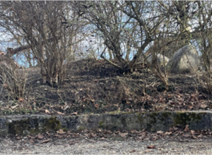 Gemeinsam rutschen wir ans Ziel! Ein neues Abenteuer am Pausenhofberg!