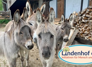 Start up Lindenhof e.V. Initiativen für Mensch und Natur
