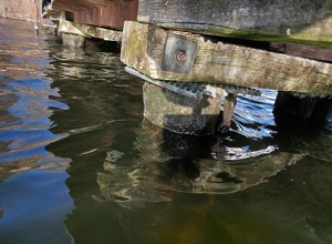 Sport verbindet – Ein sicherer Steg für starke Gemeinschaft