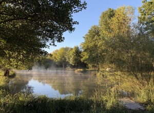Eidechsenhotel und Uferbefestigung am Auenweiher + Fassadenreparatur