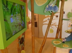 Interaktive Stationen in der Natur Werkstatt Streuobstwiese