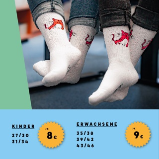 PARKSOMMER-Socken „Schnurrbert“ - ERWACHSENE