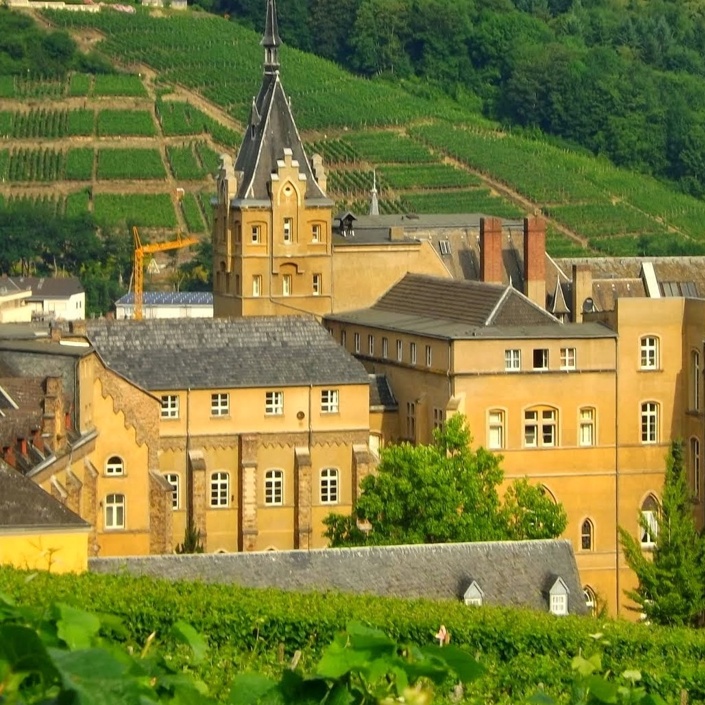 Verdunklungsanlage Gymnasium Calvarienberg