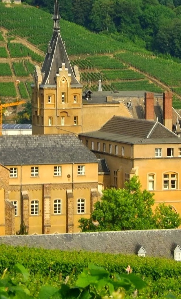 Verdunklungsanlage Gymnasium Calvarienberg