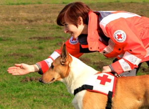 Einsatzfahrzeug für Suchhunde