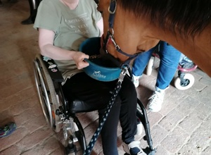 Ein Therapiepferd für die Reittherapie