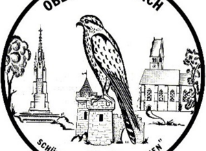 Elektronische Schießstände