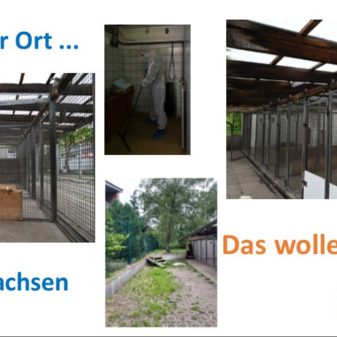 Tierheim Bielefeld: Renovierung Quarantäne-Station