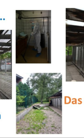 Tierheim Bielefeld: Renovierung Quarantäne-Station