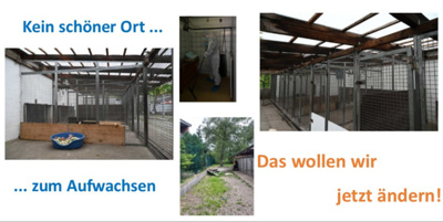 Tierheim Bielefeld: Renovierung Quarantäne-Station