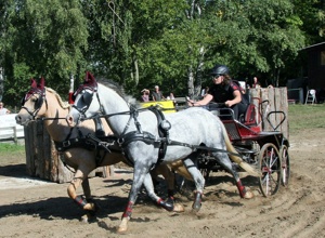 Springplatz ZRFV Einrich Katzenelnbogen e.V.