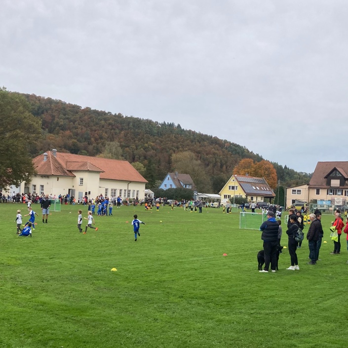 Neue Flutlichtanlage für den SV Bieringen