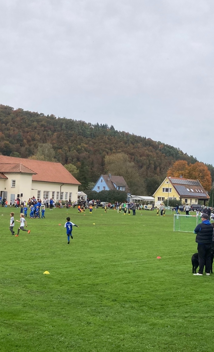 Neue Flutlichtanlage für den SV Bieringen