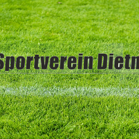 Anschaffung Aufsitzmäher Sportplatz