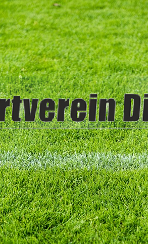 Anschaffung Aufsitzmäher Sportplatz