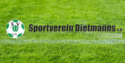 Anschaffung Aufsitzmäher Sportplatz