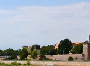 Paradiesorgelsanierung im Magdeburger Dom