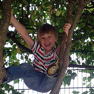 Kinder wollen klettern