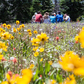 Picknick auf dem Schulhof