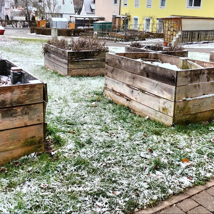 Unser Schulgarten soll wieder leben