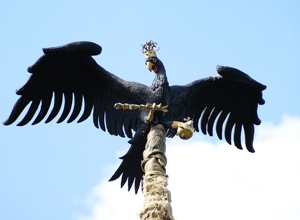 Neue Vogelstange für Sichtigvor