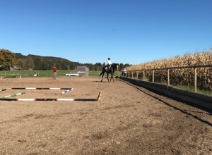 Reitplatzsanierung RG Mooshof e.V.