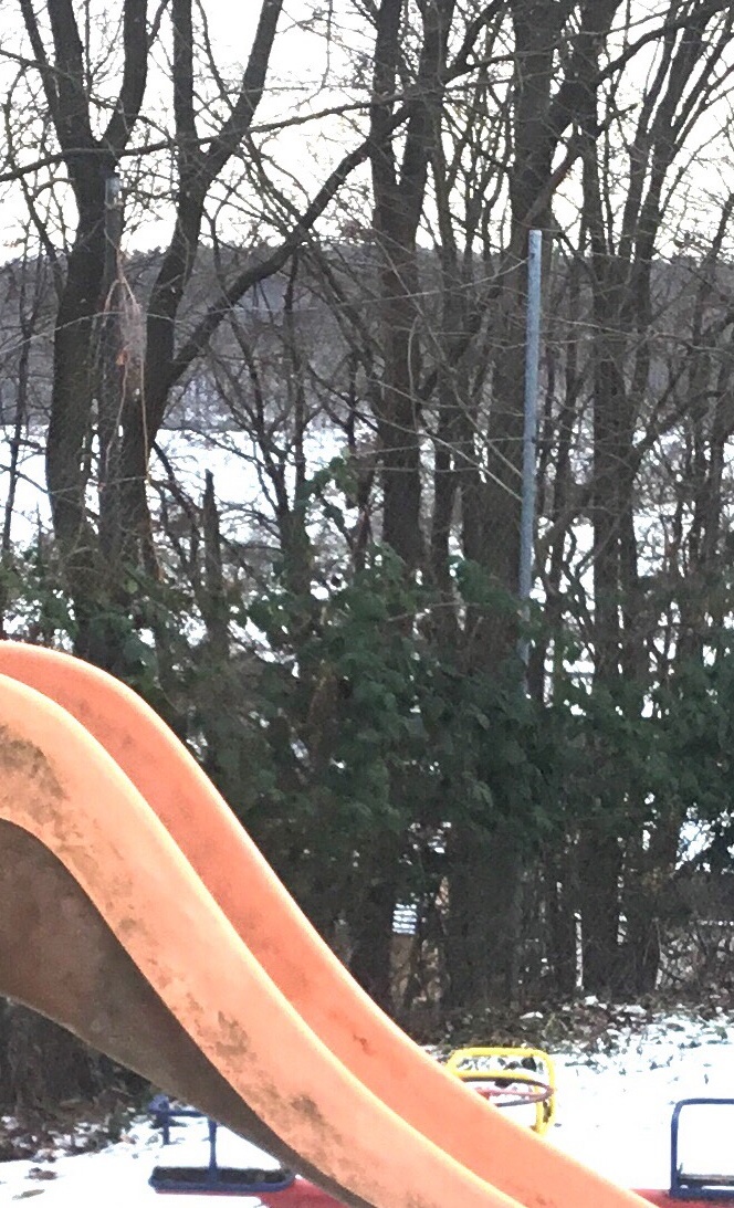Neugestaltung Kinderspielplatz Vereinsgelände
