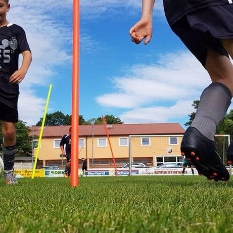 Rasenmähroboter für unseren Sportplatz