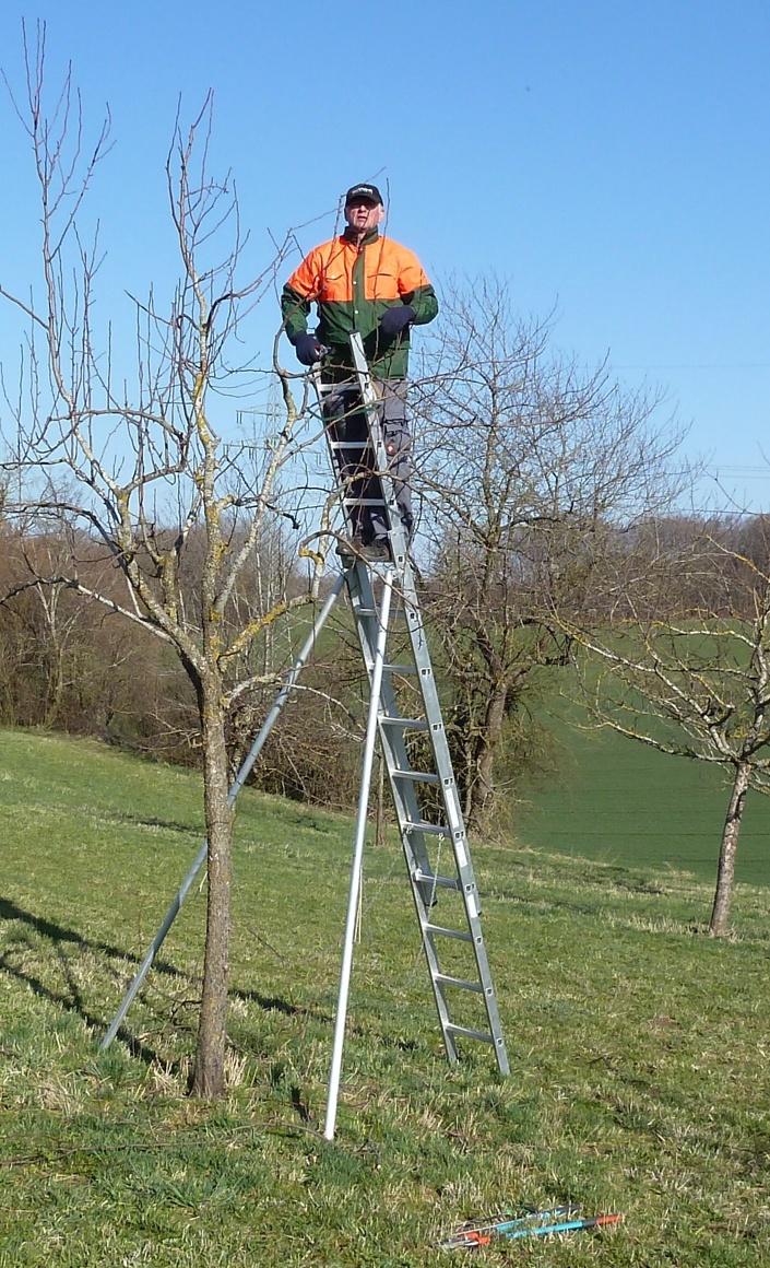 Geräte zur Streuobstpflege
