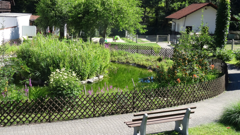 Renovierung Ententeichanlage