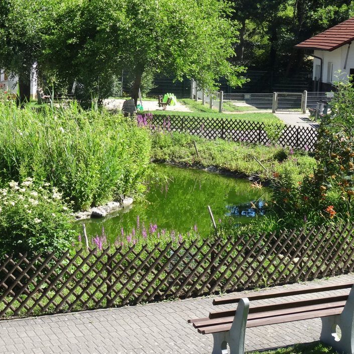Renovierung Ententeichanlage