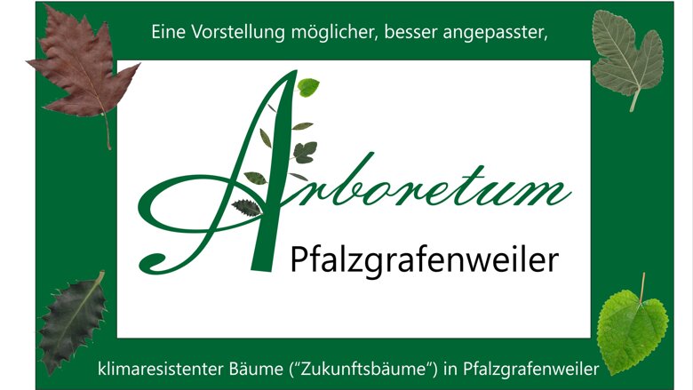 Große Ansicht vom Video