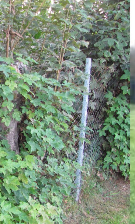 Zaunerneuerung Hauptfeld SVA