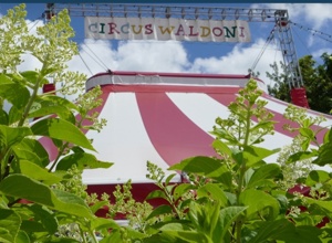 Sonnenenergie für einen nachhaltigen Zirkus