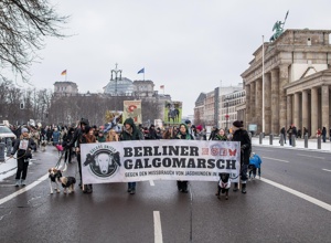 Berliner Galgomarsch