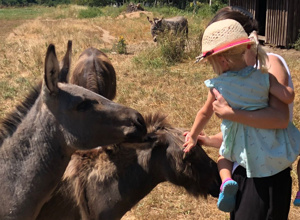Eine Randoline für den Eselpark