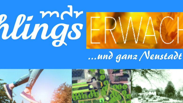 Große Ansicht vom Video
