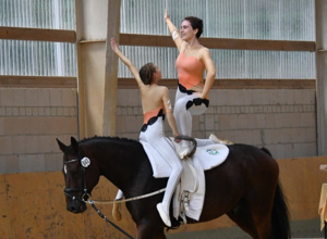 Rententraum & Pferdewunsch: unterstütze unseren Neuanfang!