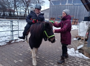 Mit dem Lift aufs Pferd
