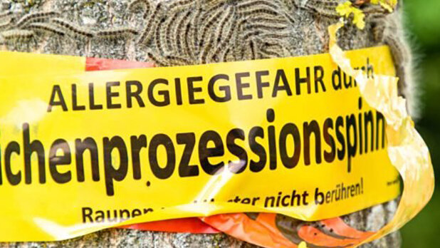Große Ansicht vom Video