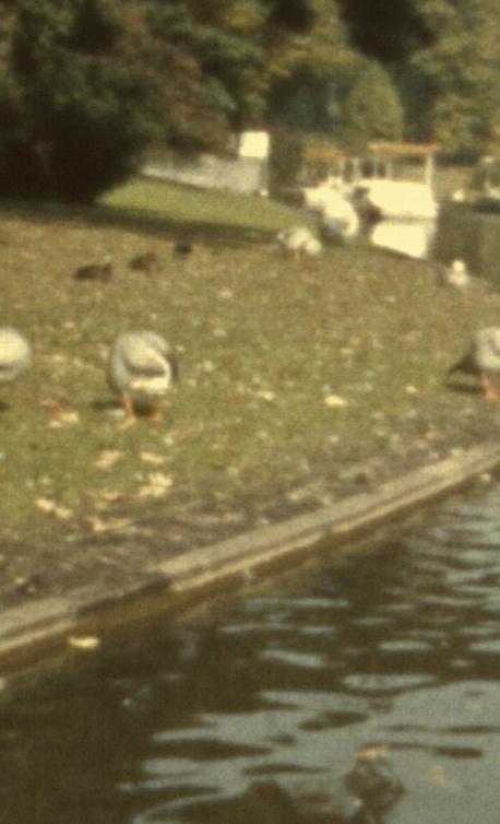 Geschichten aus der Heimat - Karlsruhe auf Super8
