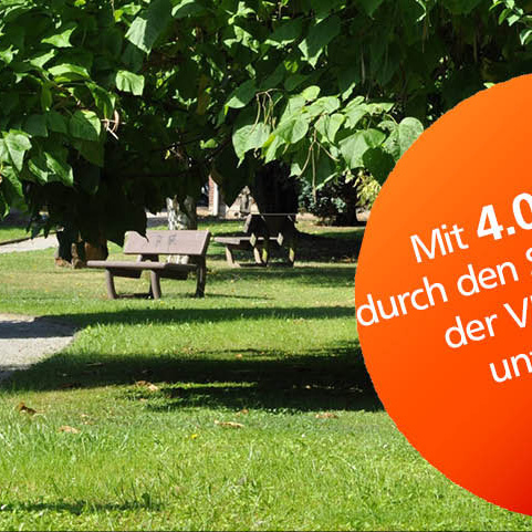 Pflege / Umgestaltung Martinuspark