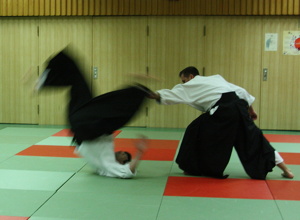Neue Matten für das Judo- und Aikido-Training