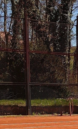 Tennisverein Buch: Ohne Zaun kein Spielbetrieb! Spenden für Zaun-Bau!