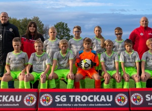 Fangzaun SG Trockau