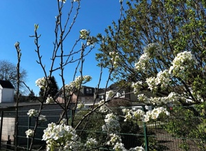 Ein neues Außengelände für die Kinder der Kita St.Marien in Würselen