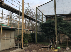 Neue Weißkopfseeadlervoliere im Tiergarten Kleve