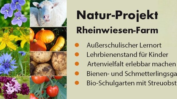 Große Ansicht vom Video