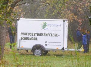 Streuobstwiese im Schulprojekt